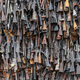 Rifles to be burned in Kenya as part of efforts to discourage illegal gun sales.